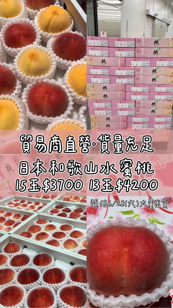 頂級日本和歌山水蜜桃 