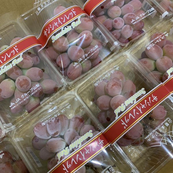 【香x甜】頂級日本玫瑰紅麝香 