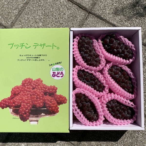 日本珍珠葡萄 