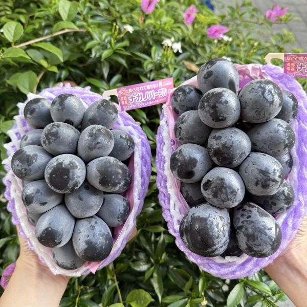 【可以帶皮食用】日本長野紫葡萄 