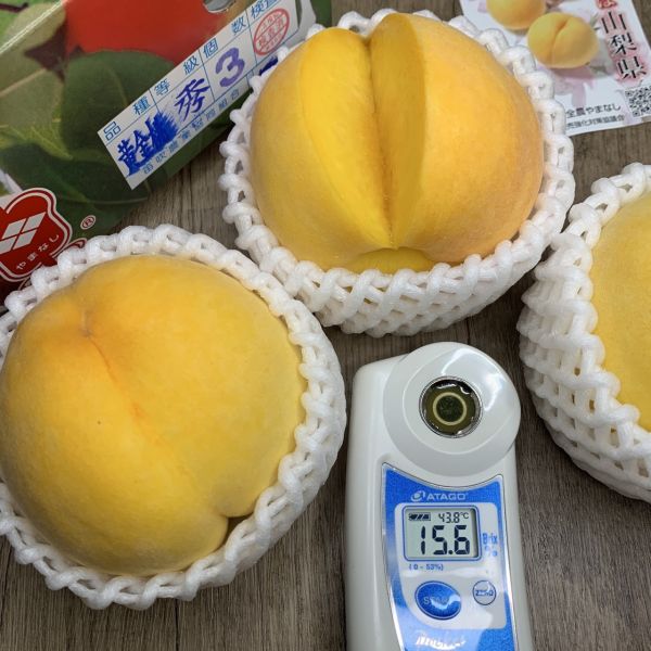 日本頂級黃金桃 