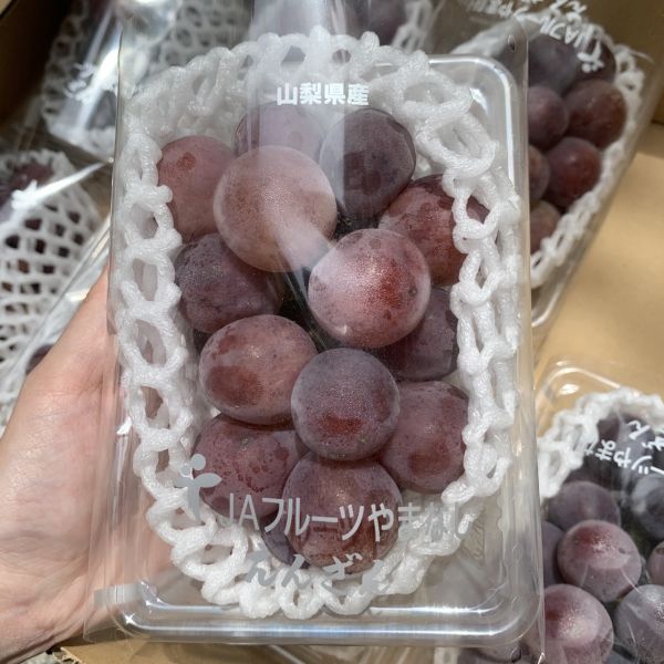 【惜福價】日本山梨悟紅玉PE 