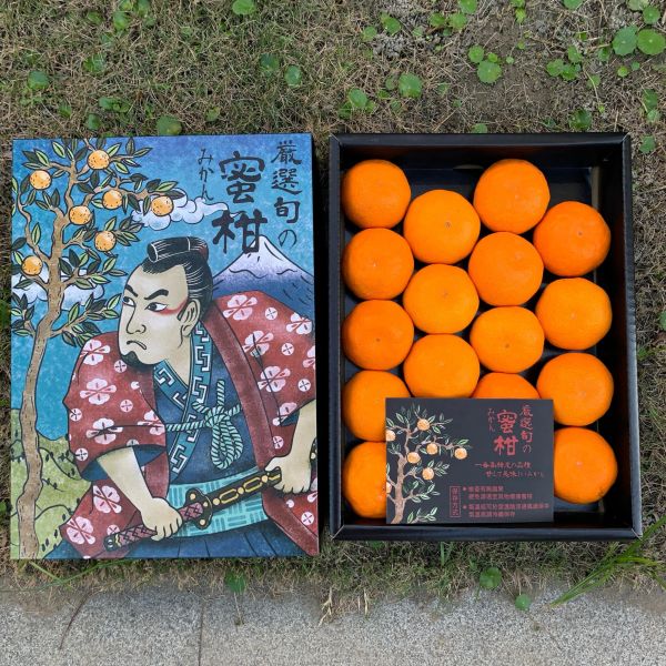 日本日上蜜柑 
