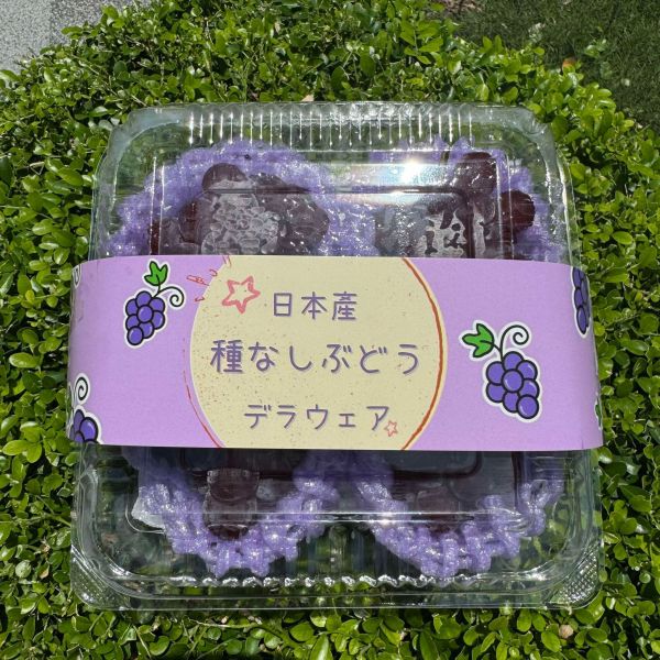 日本珍珠葡萄 