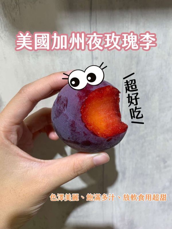 美國加州夜玫瑰李 