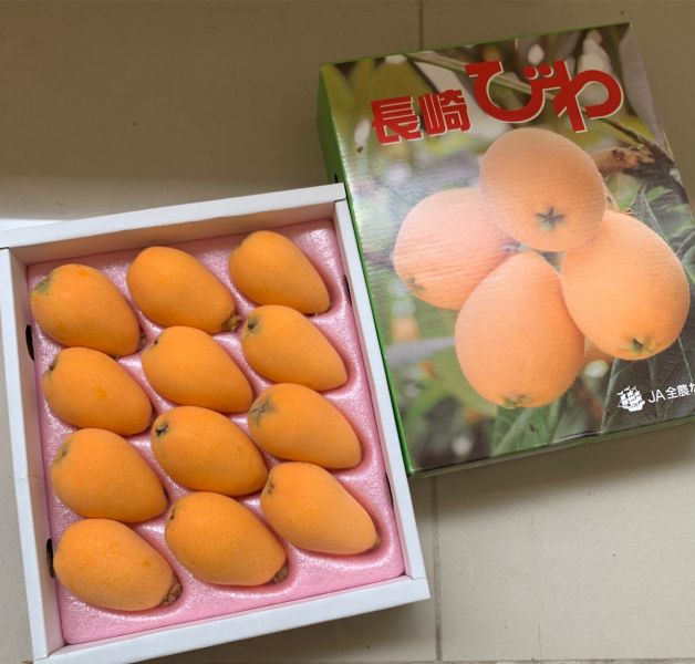 日本溫室長崎枇杷 