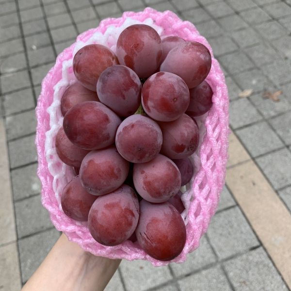 超甜日本妮娜皇后 