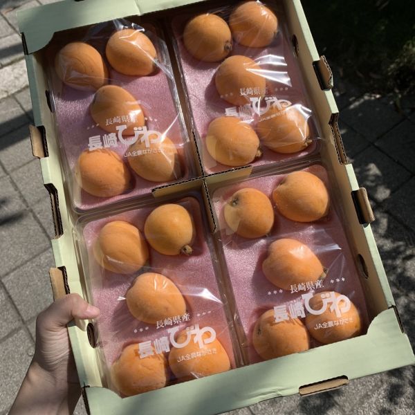 巨無霸日本長崎枇杷 