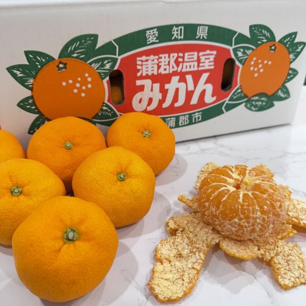 超甜日本愛知縣蒲郡 