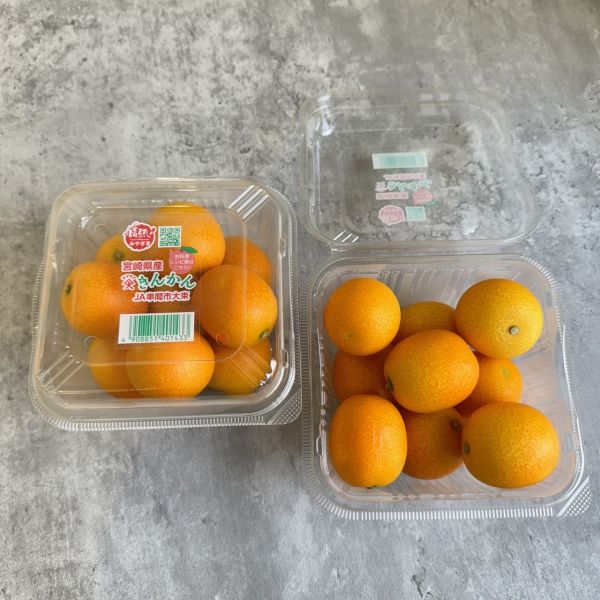 日本宮崎金桔 