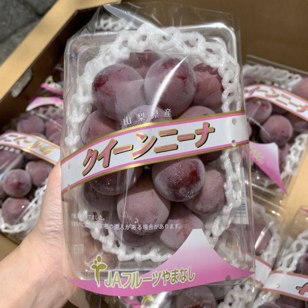 日本山梨妮娜皇后 