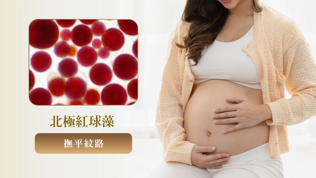 婕樂纖賦活精華油 