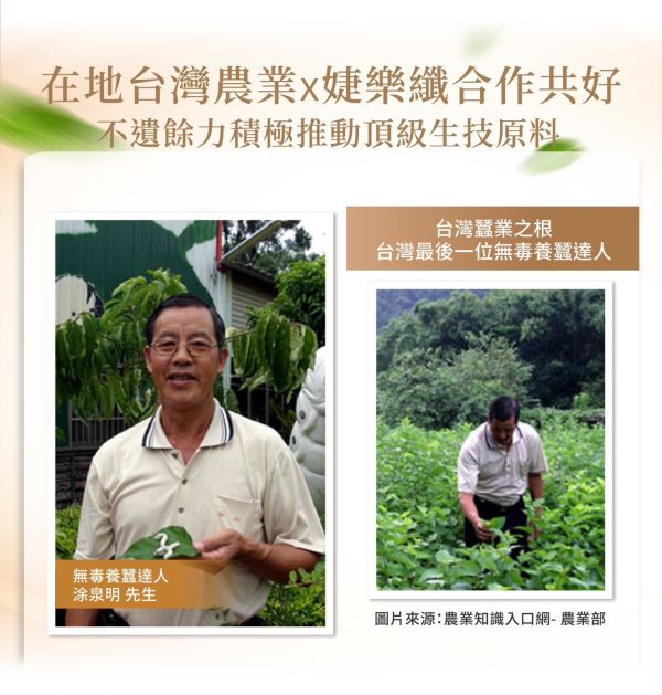 婕樂纖肽纖飲奶茶口味 