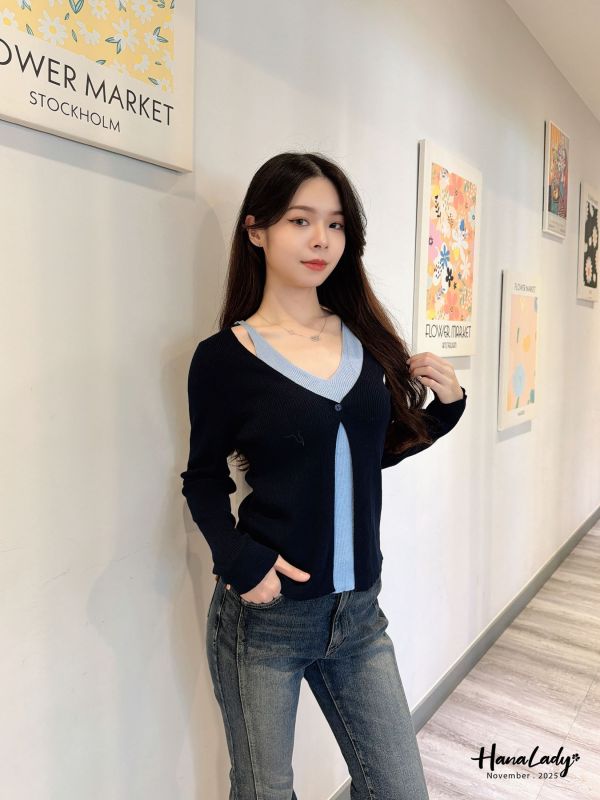 WJB40 雙色V領柔軟針織上衣 