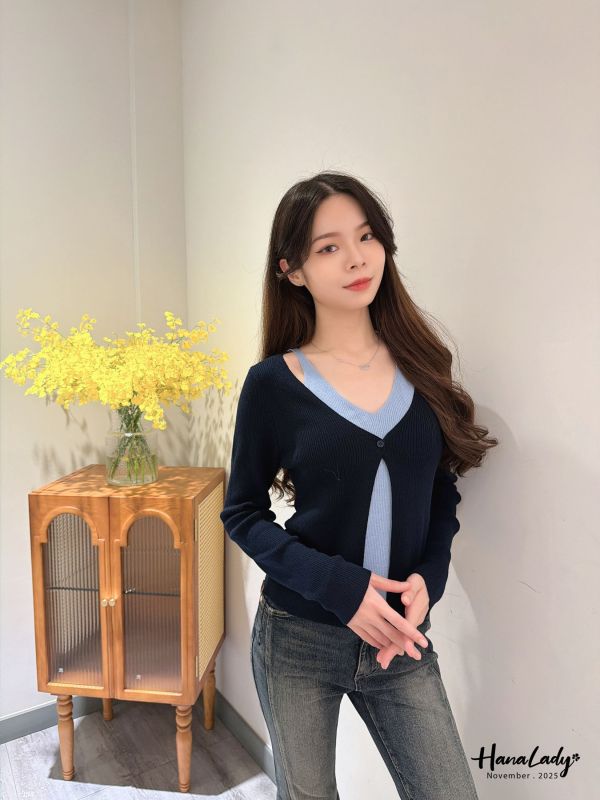 WJB40 雙色V領柔軟針織上衣 