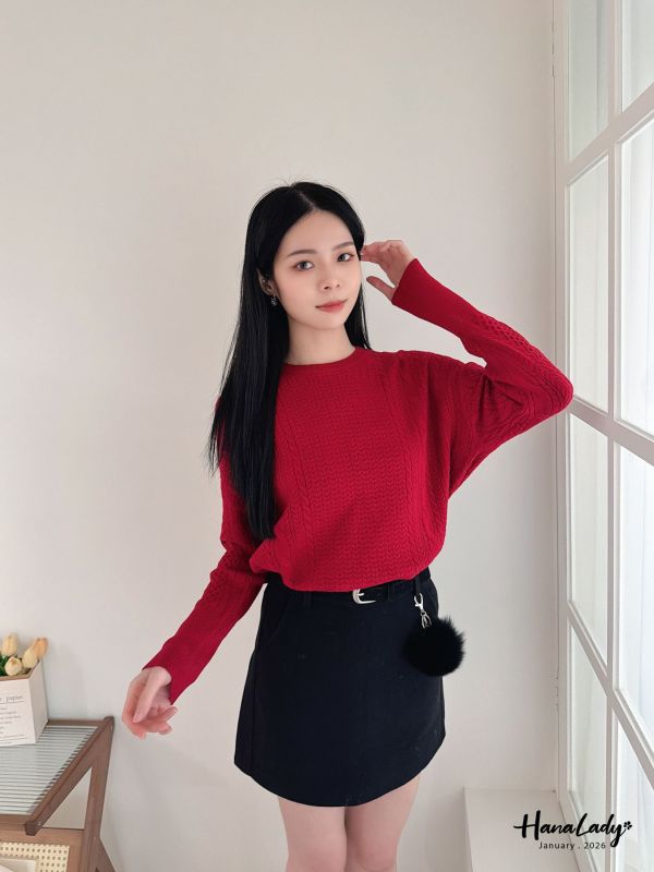 LEA85 多色可選親膚麻花針織衫 