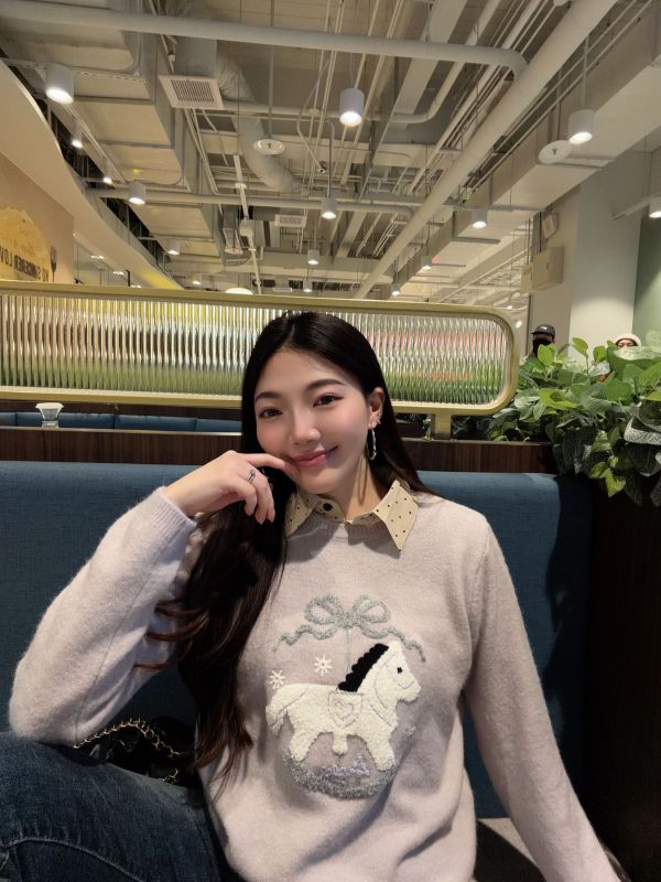 WQB03 刺繡旋轉木馬針織上衣 