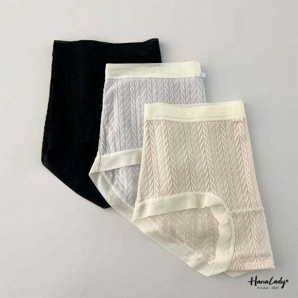 WTB02 麻花線條韓國內褲 