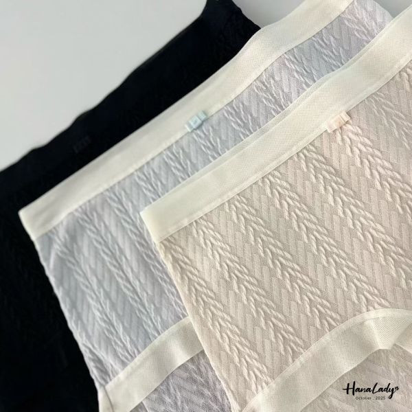 WTB02 麻花線條韓國內褲 