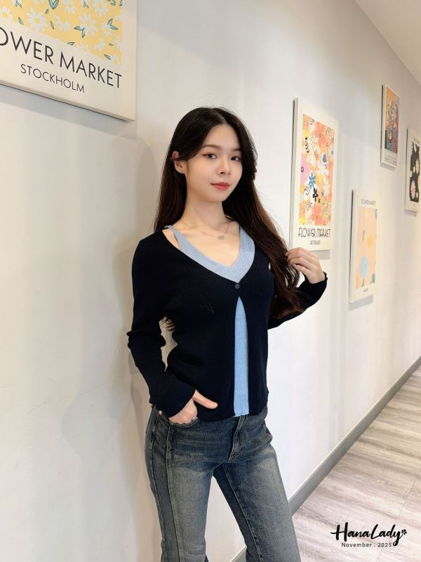 WJB40 雙色V領柔軟針織上衣 