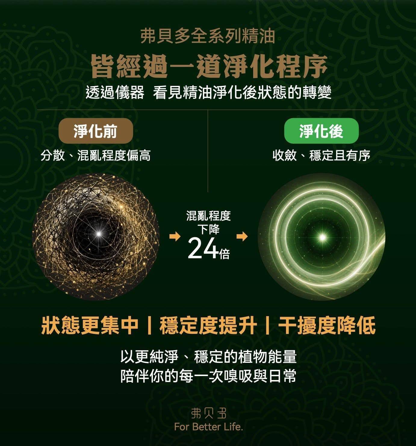 弗貝多淨化程序