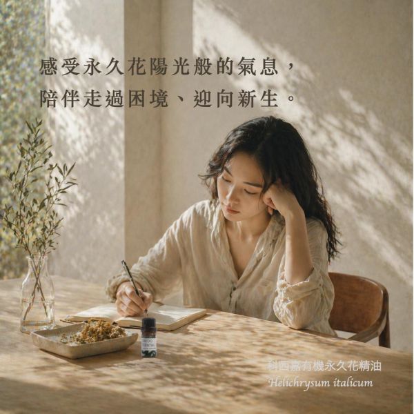 有機永久花 Immortelle / Helichrysum italicum｜科西嘉有幾永久花｜傷口與瘀血腫｜化瘀化鬱 × 深層轉化 × 修復再生 × 情緒釋放 5ml 永久花精油,Immortelle,科西嘉永久花,有機精油,修復精油,化瘀精油,肌膚修護,循環調理,弗貝多