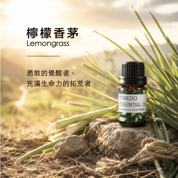 檸檬草 10ml｜Lemon Grass｜勇敢的覺醒者，充滿生命力的拓荒者 弗貝多,檸檬草精油,香茅精油,勇敢,拓荒者,生命力,SPA香氣,能量淨化,單方精油