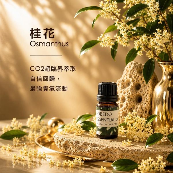 超臨界萃取桂花 5ml｜Osmanthus｜超臨界萃取，自信回歸，最強貴氣流動 弗貝多,桂花精油,超臨界萃取,CO2萃取精油,天然精油,提升氣場,人際關係,能量淨化,引運,好氣運
