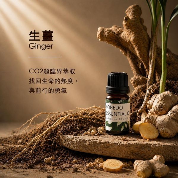 超臨界萃取生薑 10ml｜Ginger ｜找回生命的熱度與前行的勇氣 弗貝多,生薑精油,超臨界萃取,薑科精油,生命的熱度,前行勇氣,能量淨化,單方精油,行動能量