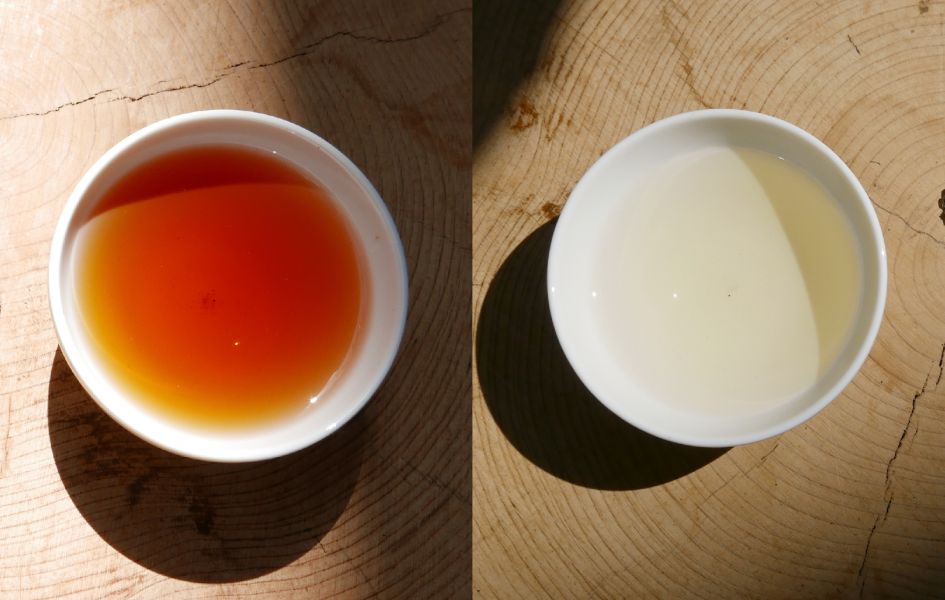 【弗貝多】梅韻茶香雙饗禮盒 l 紅茶三角立體茶包10入l包種茶三角立體茶包10入l 台灣製造 l 南投信義鄉梅子 l 伴手禮的最佳選擇 弗貝多, 有機茶, 梅韻茶香, 包種茶, 紅茶, 三角立體茶包, 禮盒, 健康茶, 南投信義鄉, 伴手禮