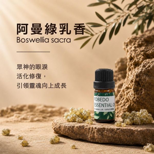 阿曼特級綠乳香 5ml ｜Boswellia sacra｜眾神的眼淚，活化修復並引領靈魂向上成長 弗貝多,阿曼綠乳香精油,天然精油,能量修復,行氣,安撫情緒