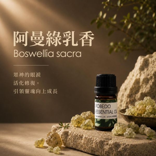 阿曼特級綠乳香 5ml ｜Boswellia sacra｜眾神的眼淚，活化修復並引領靈魂向上成長 弗貝多,阿曼綠乳香精油,天然精油,能量修復,行氣,安撫情緒