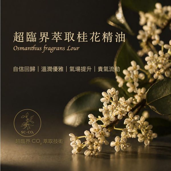 超臨界萃取桂花  Osmanthus / Osmanthus fragrans｜超臨界萃取完整保留香氣分子與能量｜自信回歸 × 溫潤優雅 × 氣場提升 × 貴氣流動  5ml 桂花精油,超臨界CO2萃取,桂花精油推薦,提升氣場精油,人際關係精油,招貴人運精油,空間擴香精油,放鬆舒壓精油,高級香氛精油,弗貝多桂花精油