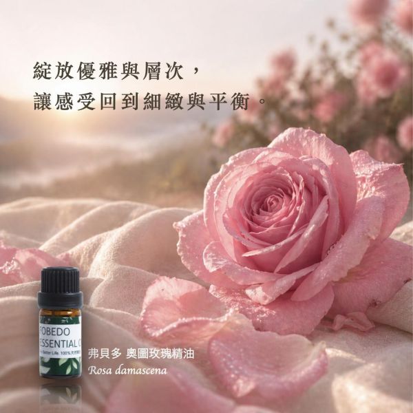 奧圖玫瑰 Otto Rose / Rosa damascena｜愛、信任、自我接納｜ 花中之后 × 柔軟內在 × 愛與優雅 × 深度花香 5ml 奧圖玫瑰精油,保加利亞玫瑰精油,大馬士革玫瑰,蒸餾玫瑰精油,高品質玫瑰精油,玫瑰精油推薦,玫瑰精油功效,芳療精油,天然精油,FOBEDO