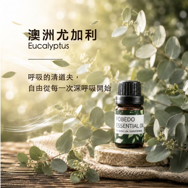 澳洲尤加利 15ml｜Eucalyptus｜呼吸的清道夫，自由從每一次深呼吸開始 弗貝多,澳洲尤加利精油,開闊呼吸,重獲新生,天然精油,思緒清明,空間淨化,能量平衡,掃除沉悶,好氣運