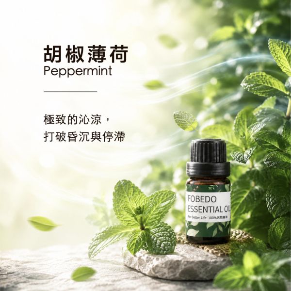 胡椒薄荷 15ml｜Peppermint｜極致的沁涼，打破昏沉與停滯 弗貝多,胡椒薄荷精油,Peppermint,天然精油,掃除昏沉,即刻醒腦,專注清明,提神精油,能量淨化,平衡身心