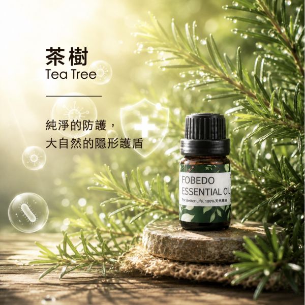 有機茶樹 15ml｜Tea Tree｜純淨的防護，大自然的隱形護盾 弗貝多,有機茶樹精油,Tea Tree,天然精油,環境淨化,純淨防護,掃除沉悶,能量清理,身心平衡,除穢