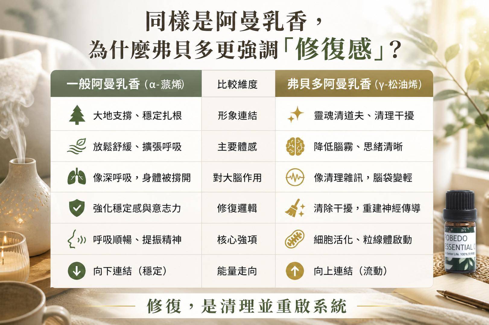弗貝多阿曼乳香精油功能比較表：強調 γ-松油烯的修復感，包含清理腦霧、提升思緒清晰與細胞活化之獨特功效