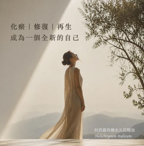 有機永久花 Immortelle / Helichrysum italicum｜科西嘉有幾永久花｜傷口與瘀血腫｜化瘀化鬱 × 深層轉化 × 修復再生 × 情緒釋放 5ml 永久花精油,Immortelle,科西嘉永久花,有機精油,修復精油,化瘀精油,肌膚修護,循環調理,弗貝多