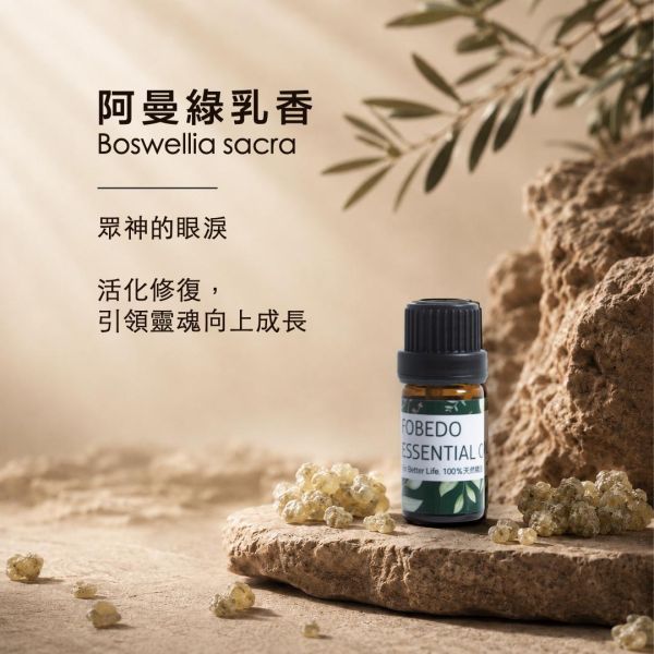 阿曼特級綠乳香 5ml ｜Boswellia sacra｜眾神的眼淚，活化修復並引領靈魂向上成長 弗貝多,阿曼綠乳香精油,天然精油,能量修復,行氣,安撫情緒