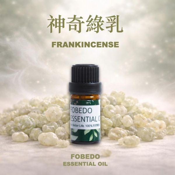 阿曼特級綠乳香 Frankincense / Boswellia sacra｜神聖綠乳香｜行氣啟動 × 細胞活化 × 深層釋放 × 高我連結 阿曼綠乳香精油,乳香精油推薦,Boswellia sacra,高端精油,純精油,能量精油,安撫情緒精油,行氣調整,身心平衡,天然精油
