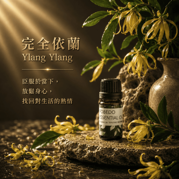 完全依蘭 10ml｜Ylang Ylang｜臣服於當下，放鬆身心，找回對生活的熱情 弗貝多,完全依蘭精油,多道萃取,花中之花,臣服於當下,放鬆身心,生活的熱情,能量淨化,單方精油