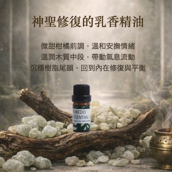 阿曼特級綠乳香 Frankincense / Boswellia sacra｜神聖綠乳香｜行氣啟動 × 細胞活化 × 深層釋放 × 高我連結 5ml 弗貝多,阿曼綠乳香精油,天然精油,能量修復,行氣,安撫情緒