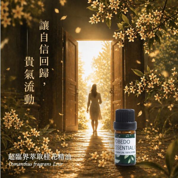 超臨界萃取桂花  Osmanthus / Osmanthus fragrans｜超臨界萃取完整保留香氣分子與能量｜自信回歸 × 溫潤優雅 × 氣場提升 × 貴氣流動  5ml 桂花精油,超臨界CO2萃取,桂花精油推薦,提升氣場精油,人際關係精油,招貴人運精油,空間擴香精油,放鬆舒壓精油,高級香氛精油,弗貝多桂花精油