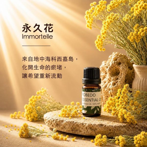 科西嘉永久花 5ml｜Immortelle｜化開生命的瘀堵，讓希望重新流動 永久花精油,科西嘉永久花,義大利酮,有機精油,化瘀精油,肌膚再生,弗貝多,FOBEDO