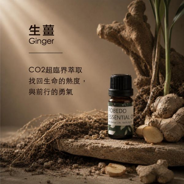 超臨界萃取生薑 10ml｜Ginger ｜找回生命的熱度與前行的勇氣 弗貝多,生薑精油,超臨界萃取,薑科精油,生命的熱度,前行勇氣,能量淨化,單方精油,行動能量