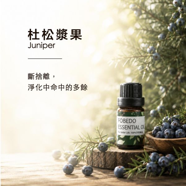 杜松漿果 10ml｜Juniper｜斷捨離，淨化生命中的多餘 弗貝多,杜松漿果精油,柏科精油,斷捨離,生命中的多餘,主動防禦,能量淨化,單方精油,西方淨化植物