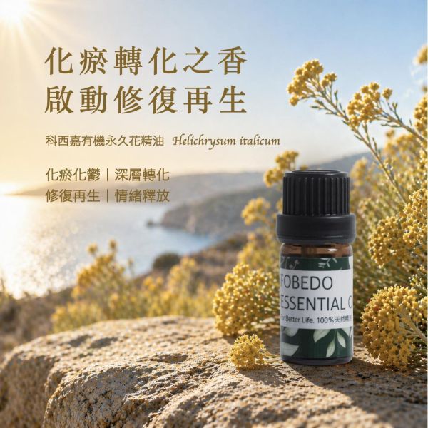 有機永久花 Immortelle / Helichrysum italicum｜科西嘉有幾永久花｜傷口與瘀血腫｜化瘀化鬱 × 深層轉化 × 修復再生 × 情緒釋放 5ml 永久花精油,Immortelle,科西嘉永久花,有機精油,修復精油,化瘀精油,肌膚修護,循環調理,弗貝多