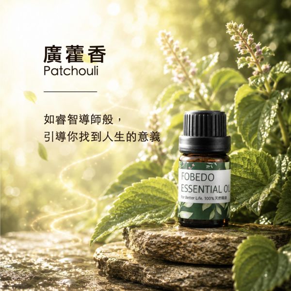 廣藿香 10ml｜Patchouli｜如睿智導師般，引導你找到人生的意義 弗貝多,廣藿香精油,唇形科精油,人生的意義,睿智導師,麝香定香,穩定平衡,能量淨化,單方精油