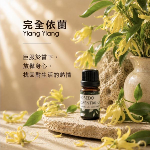 完全依蘭 10ml｜Ylang Ylang｜臣服於當下，放鬆身心，找回對生活的熱情 弗貝多,完全依蘭精油,多道萃取,花中之花,臣服於當下,放鬆身心,生活的熱情,能量淨化,單方精油